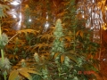 hydro__hydro_047